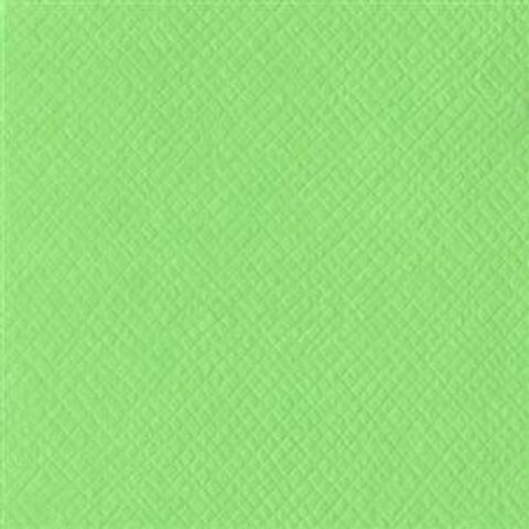 Hovedbilde Bazzill - Criss Cross - T5-529 - Katydid