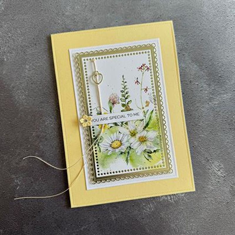 Simple and basic - Dies - SBD450 - Base frames - #2 - 5x7