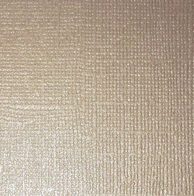Hovedbilde Canvas Cardstock - 12x12 - P15 - Pearl Champagne - 10 pk