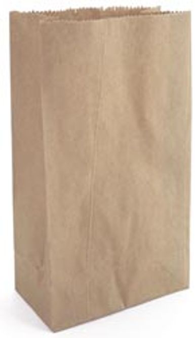 Hovedbilde Papirpose med bunn - 11,7 x 6,4 cm - H: 21,6 cm - Kraft - 10 stk
