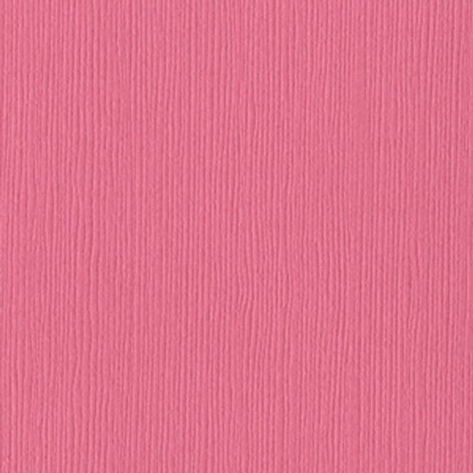 Hovedbilde Bazzill - Fourz (Grass Cloth) - 1-133 - Piglet
