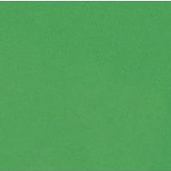 Hovedbilde Bazzill - Smoothies - 300037 - Green Apple