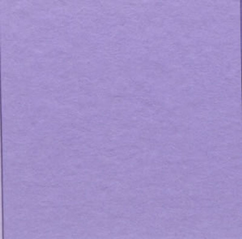 Bazzill - Prismatic - T19-6015 - Frosted Amethyst