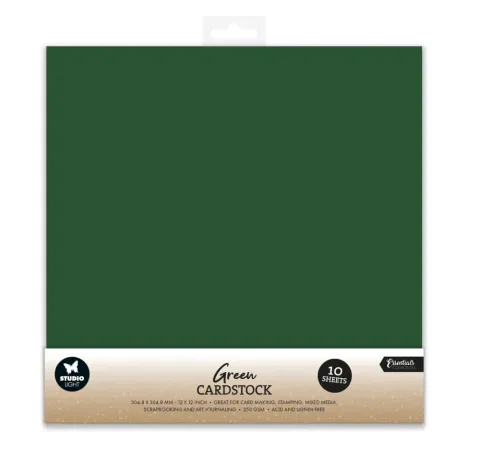 Hovedbilde Studio Light - PS61 - Green Cardstock - 12x12 - 250g - 10pk