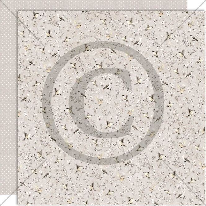 Hovedbilde Papirdesign - 12x12 - PD 1611 - Fremtidsdrøm - Kvitter og sang