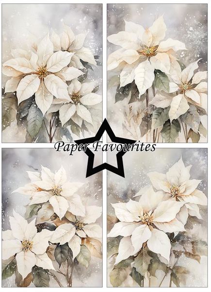 Paper Favourites - A6 Paper Pack - PFA595 - Poinsettia