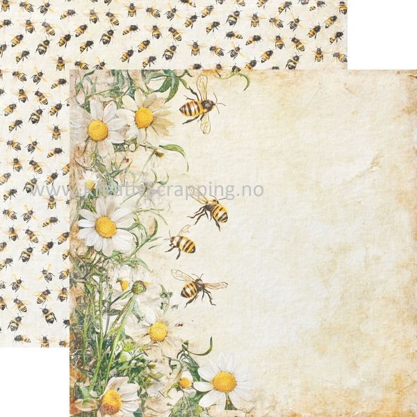 Reprint - 6x6 - RPP106 - Summer - Paper Pack