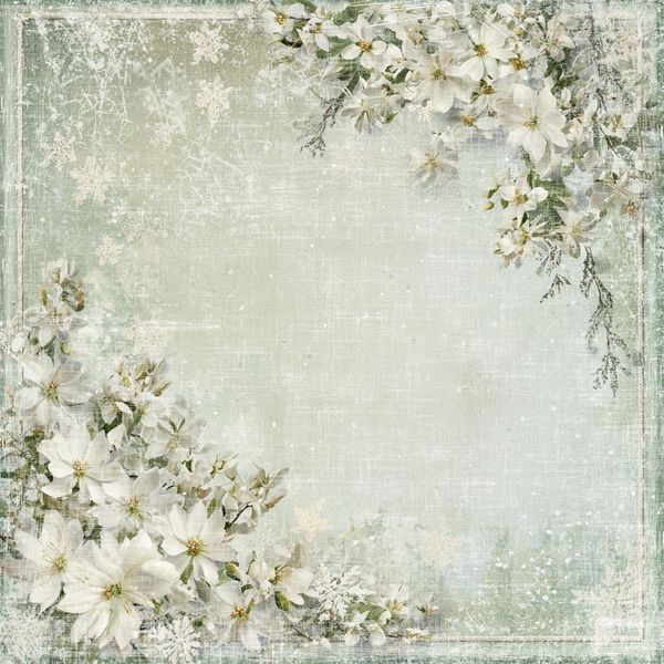 Reprint - 12x12 - RP0720 - Home for Christmas - Christmas flowers