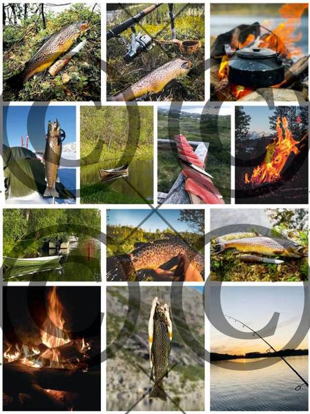 Papirdesign -  A4 Motivark - PD 00804 -  Fiskemotiv klipp