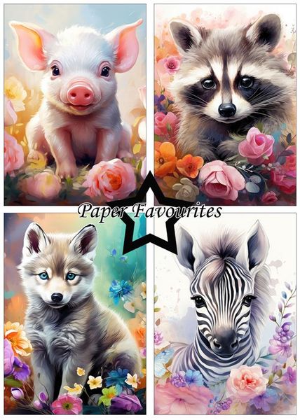 Paper Favourites - A5 Paper Pack - PFA130 - Baby Animals